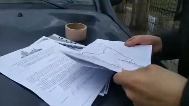 Проверка порубочного билета смотреть онлайн