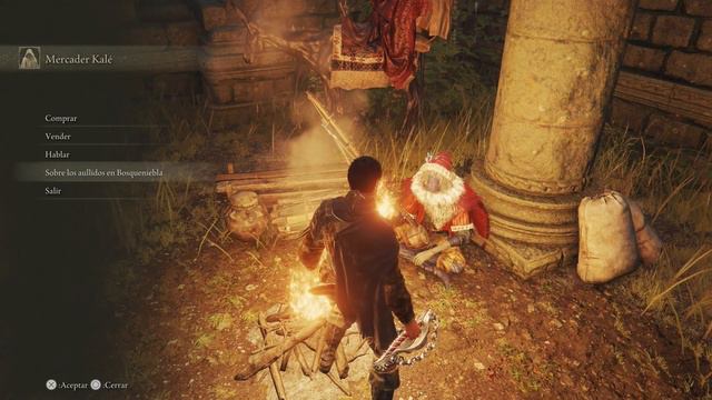 NUNCA les pasa NADA bueno a los NPC en ELDEN RING смотреть онлайн