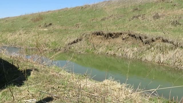 РЫБАЛКА НА КАРАСЯ КЕМЕРОВО 2022 смотреть онлайн