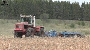 Трактор Кировец К744 дискует кукурузное поле