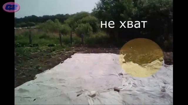 капуста энд гусеницы-капустницы//третий год без хлопот! смотреть онлайн