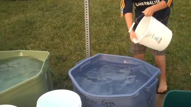 Leaky Bucket Game смотреть онлайн