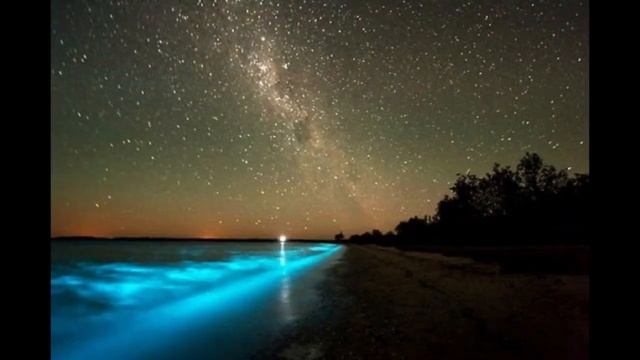 Уникальное явление Ваадху. Мальдивы. Светящиеся волны. смотреть онлайн