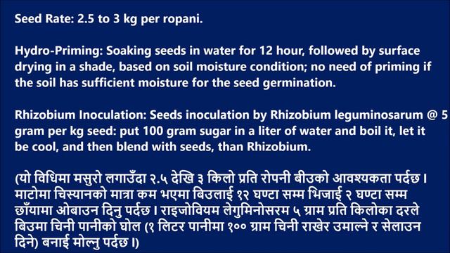 Lentil Production Technology