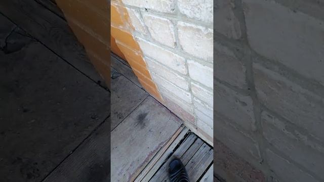 Похороны лягушки смотреть онлайн