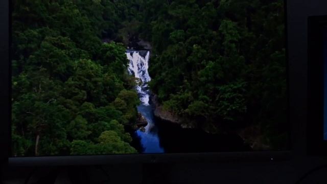 HP 24 INCH MONITOR смотреть онлайн