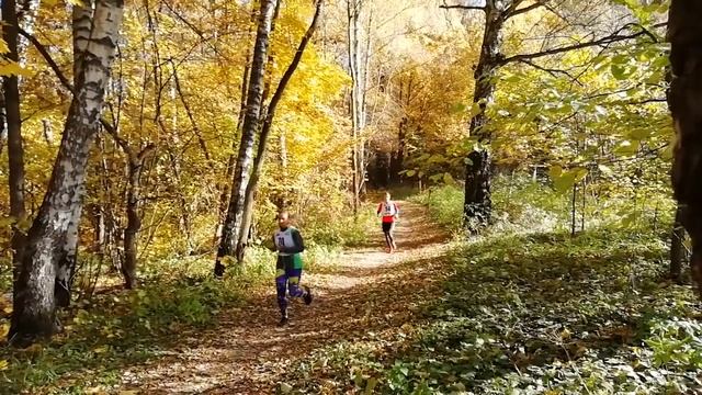 Контрольная тренировка. смотреть онлайн