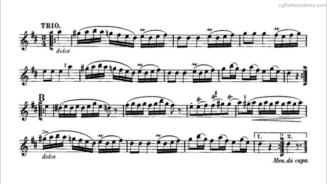 W. A. Mozart – Menuetto and Trio ♩= 110 (Fast) Flute & Piano midi with metronome смотреть онлайн