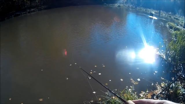 12.10. КМ ВОТ ЭТО КЛЁВ!!! ВЕРХНИЙ ПРУД, ЛОВИМ ФОРЕЛЬ НА СИЛИКОН! смотреть онлайн