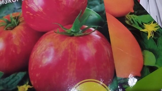 Эти новые сорта томатов посажу в 2023 году. Часть 1. Минусинские сорта. г. КИРОВ. смотреть онлайн