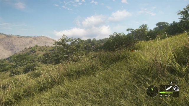 АФРИКАНСКИЕ БУЙВОЛЫ смотреть онлайн