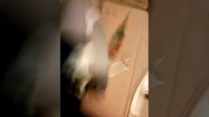 Разборка утюга Braun texstyle 7