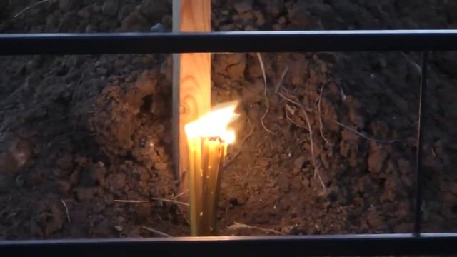 Молитвенный подвиг Геннадия Волика смотреть онлайн