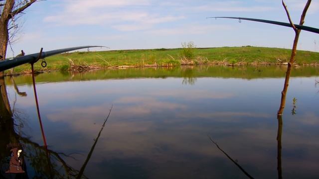 Бешеный клев карася в ручье на поплавочную удочку. Рыбалка на карася и карпа в мае смотреть онлайн