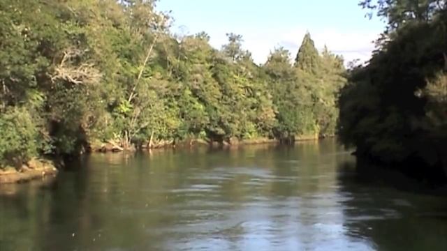 Waikato River Explorer - Hamilton Gardens to Narrows Bridge смотреть онлайн