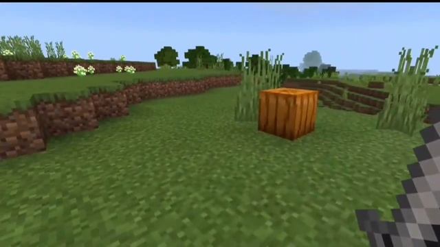 дерево в поле и тыквы приводят к деревне в майнкрафте? смотреть онлайн
