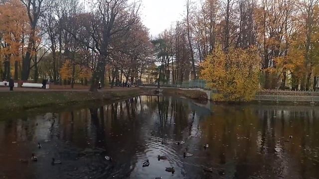 31 октября 2020, Санкт Петербург. Таврический сад. смотреть онлайн