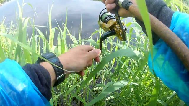 Поймал головля на вертушку смотреть онлайн