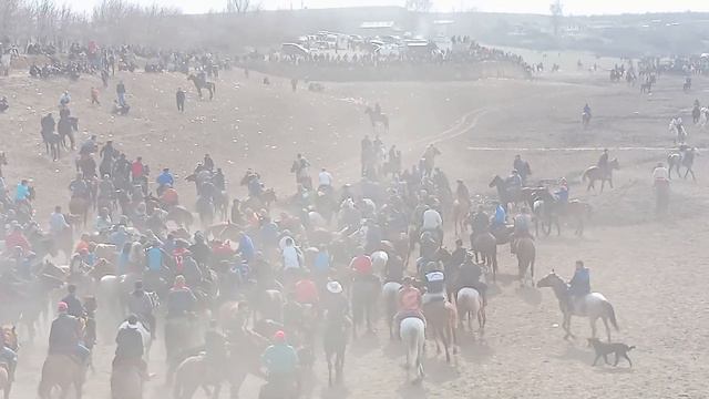 Бузкаши Ш. В Д мачитон 11.02.2024 смотреть онлайн