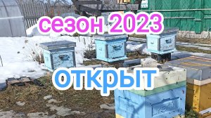 Первые работы на пасеке весной, после облёта! Пчеловодство!