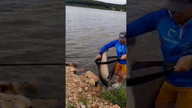 Амур на 15 кг❗️❗️❗️.mp4 смотреть онлайн