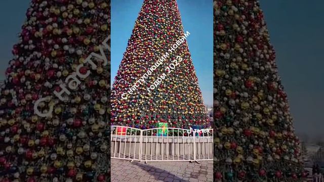 самая большая ёлка в Кыргызстане смотреть онлайн