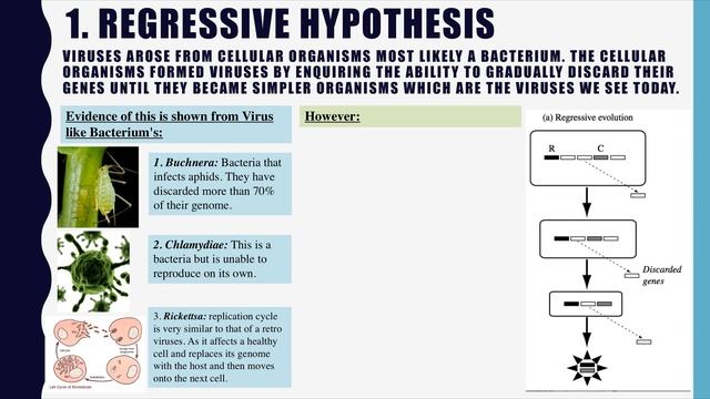 The Origin and evolution of Viruses смотреть онлайн