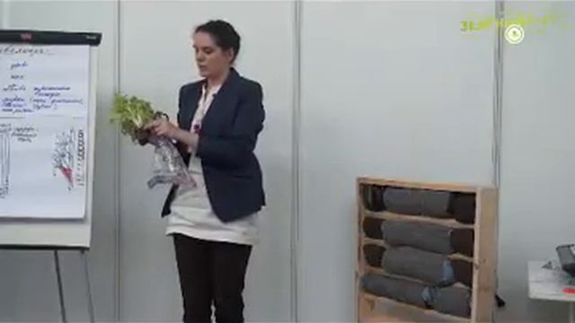 Мастер-класс по созданию вертикального сада смотреть онлайн