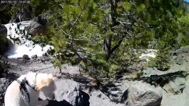 Morita at Yellowstone National Park смотреть онлайн