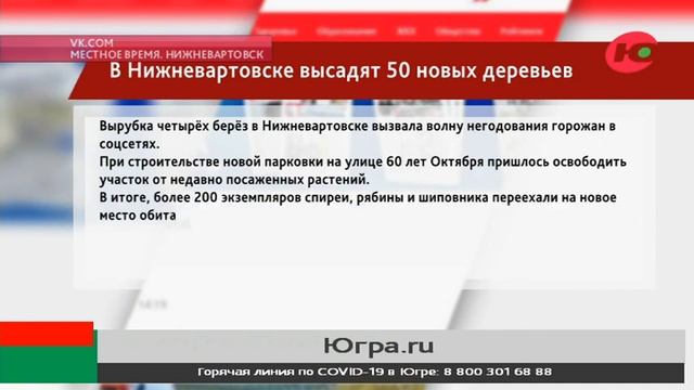 В Нижневартовске ради парковки вырубили берёзы