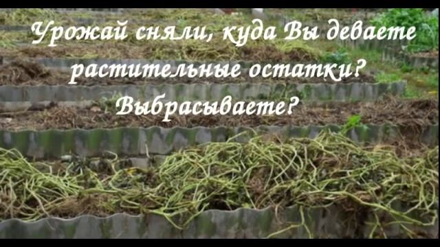 ВРЕДИТЕЛИ и БОРЬБА С НИМИ В ПРИРОДНОМ ЗЕМЛЕДЕЛИИ! Урок № 3 смотреть онлайн