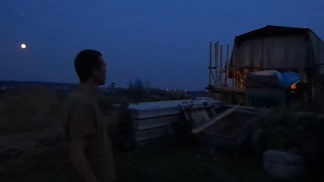 дом Макса видео 3.1 смотреть онлайн