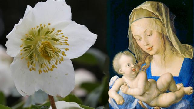 Mary's Cradle Song смотреть онлайн