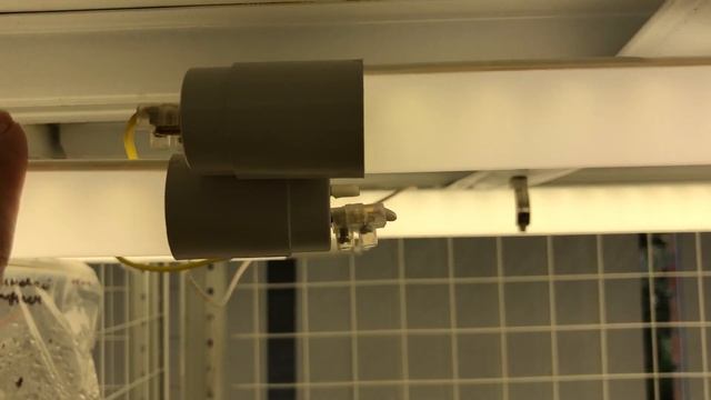 Новые стеллажи для глоксиний. Наши перемены смотреть онлайн