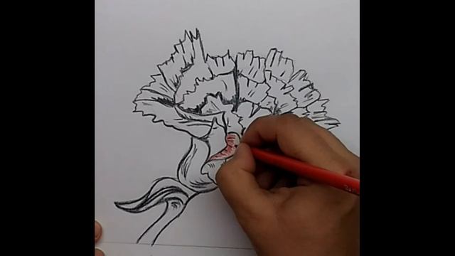 Как нарисовать гвоздику на 9 мая смотреть онлайн