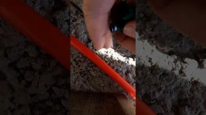 Приус 20 стук двигателя