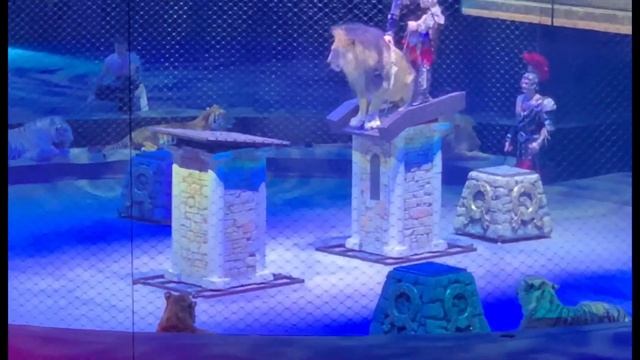 Верхом на льве, братья Запашные,