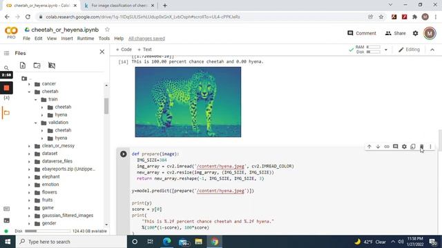 Build an Convolutional Neural Network to predict whether all 4 images are an Cheetah or Hyena смотреть онлайн