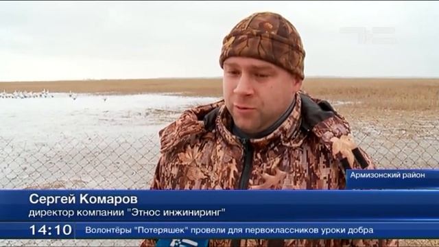 Рыбаки стали птицеводами смотреть онлайн