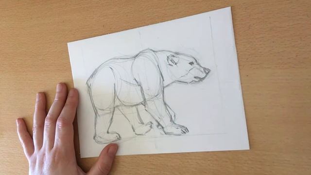 Мастер класс Как нарисовать медведя смотреть онлайн