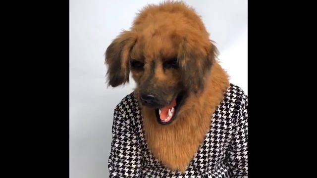 маска собака, Желтая Собака, маски для лиц с Алиэкспресс смотреть онлайн