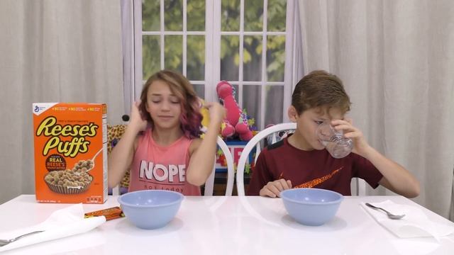 REAL COOKIES VS COOKIE CEREAL ?| We Are The Davises смотреть онлайн