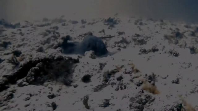Подводные встречи смотреть онлайн