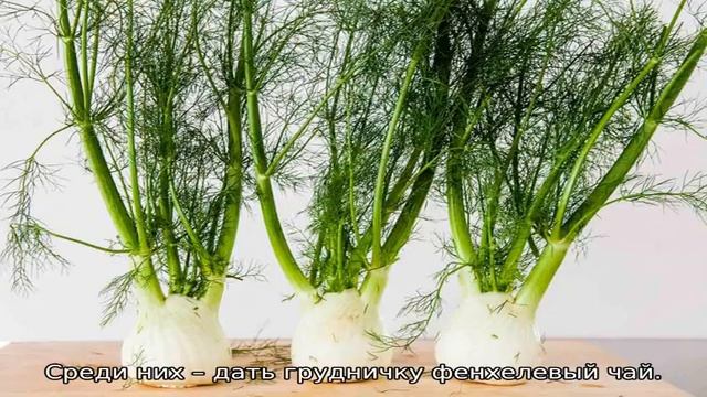 Чай с фенхелем для новорожденных — с какого возраста можно смотреть онлайн