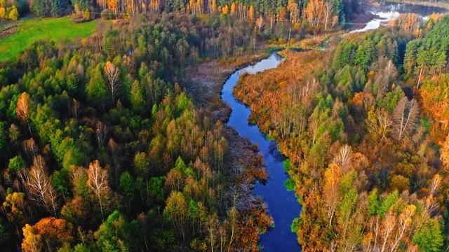 Красивая расслабляющая музыка - спокойная успокаивающая инструментальная музыка, расслабляющая