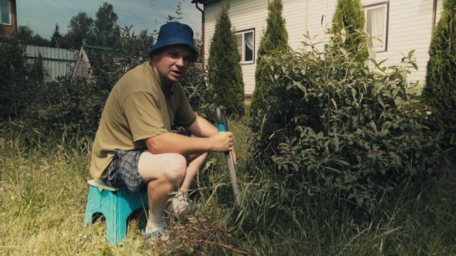 На сад и огород напали паразиты и вредители, сохнут листья, сохнут ветки, галловая тля. смотреть онлайн