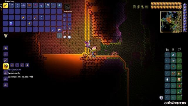 Террария Знахарь | Как найти Знахарь в Террарии