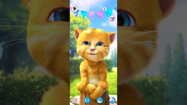 Cat Ginger Gameplay Walkthrough My Talking Tom To Talking Cat Games. ,gh⁵+8 Cats Funny Game