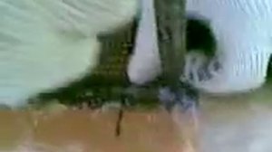 Монтаж теплого пола Oriental Dream