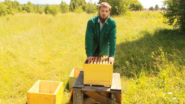 Самый простой метод пчеловождения!